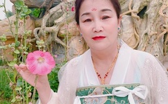 天天干天天草天天